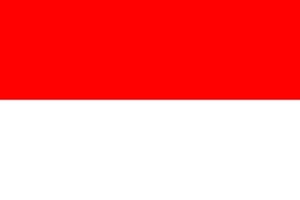flag3